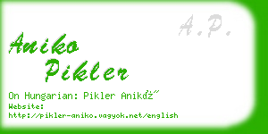 aniko pikler business card